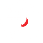 Nikkei Marketing Digital